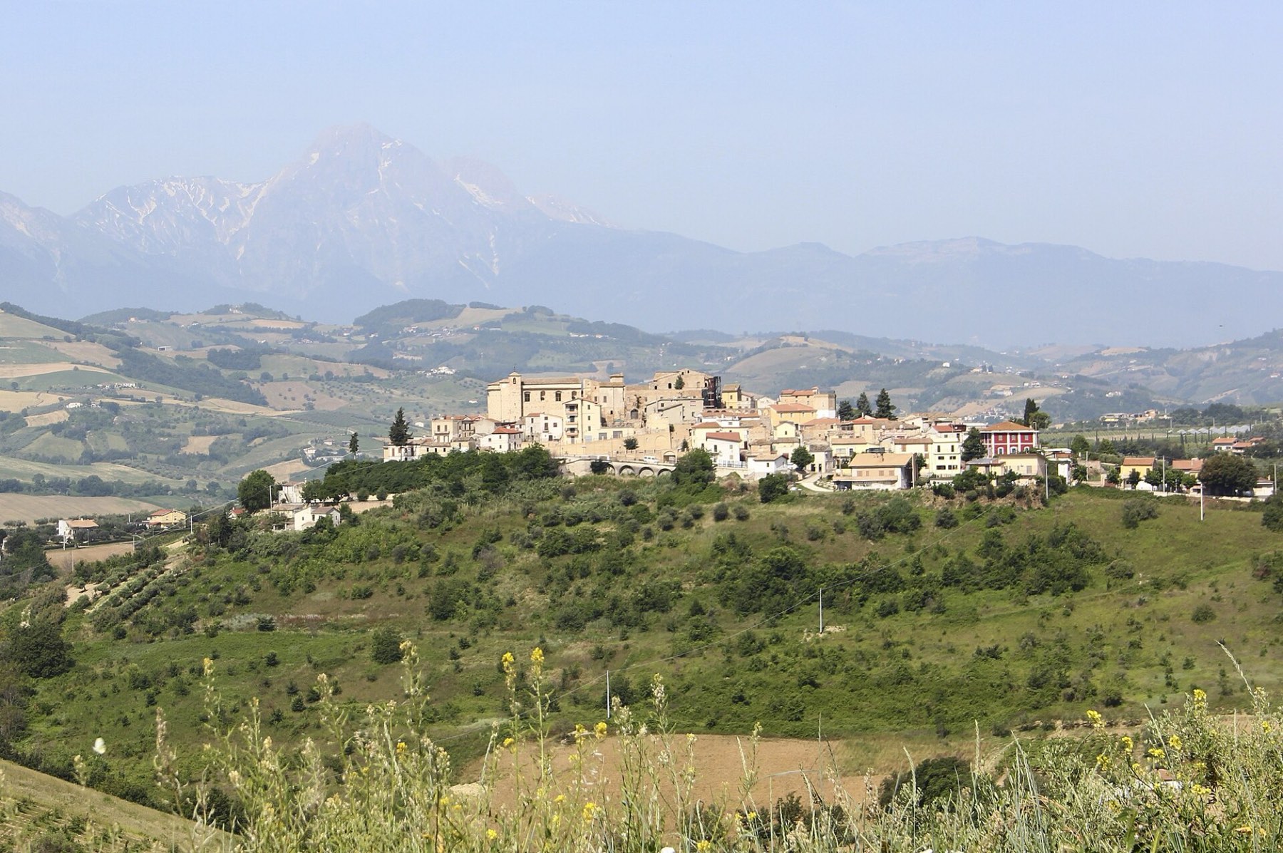 Elice sulla collina, tra gli ulivi, con il Gran Sasso alle spalle